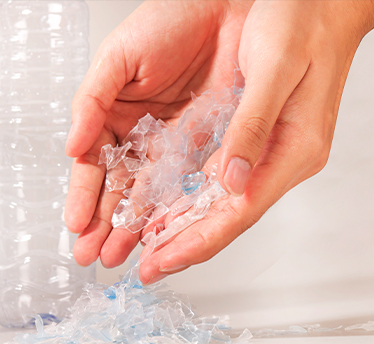 Escalas de animais ou flocos.